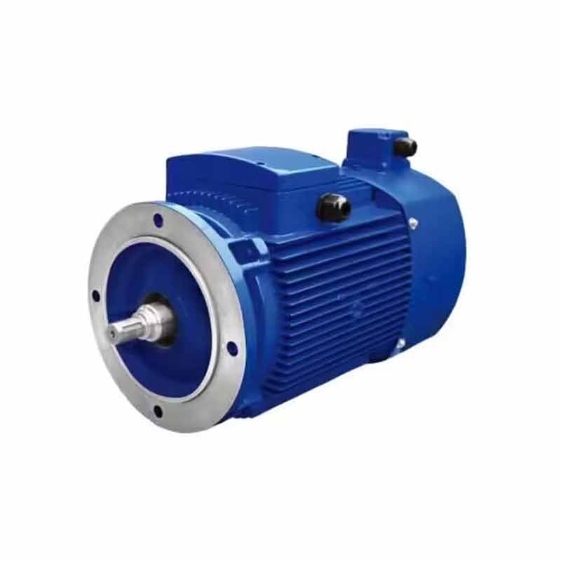 VFM Series Variable Frequency Three-Phase Asynchronous Motor